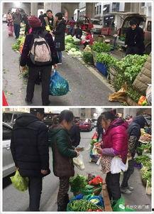 半山小镇爆料最新消息是真的吗,最新消息真实性揭秘  第3张