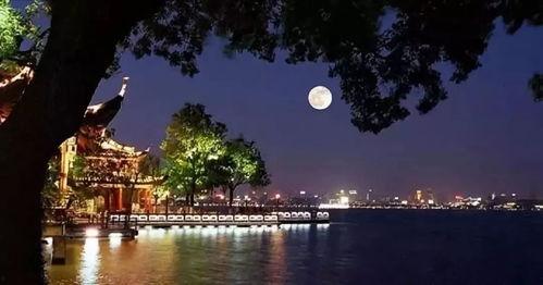 平湖秋月爆料最新消息新闻,最新热点新闻揭秘  第1张